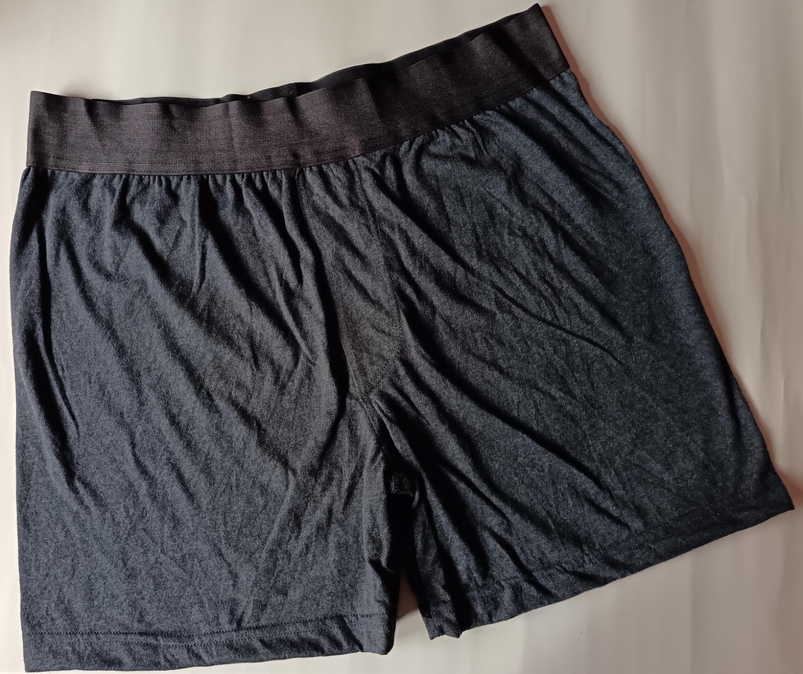 Boxer Caballero S